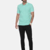 5 Allen Solly Polo Cotton TShirt